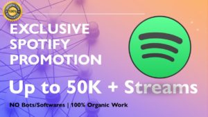 Spotify Promotion